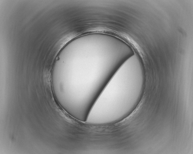 X0000116331329200912010957