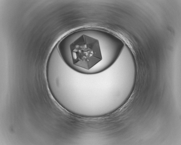 X0000116331342200912010957