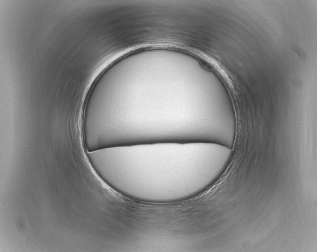 X0000116331343200912010957