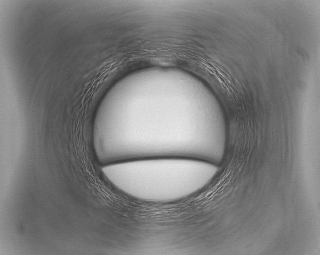 X0000116331345200912010956