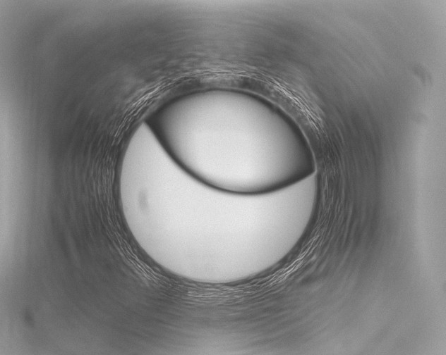 X0000116331348200912010956