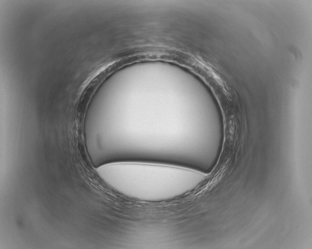 X0000116331352200912010956