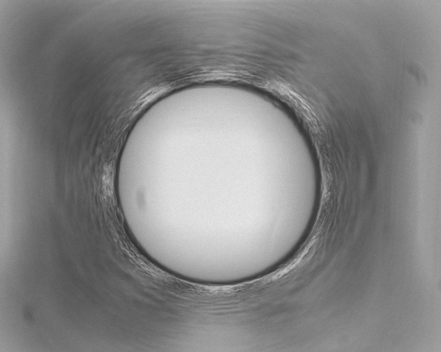 X0000116331353200912010956