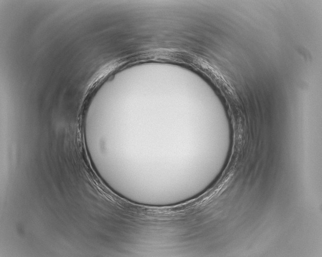 X0000116331354200912010956