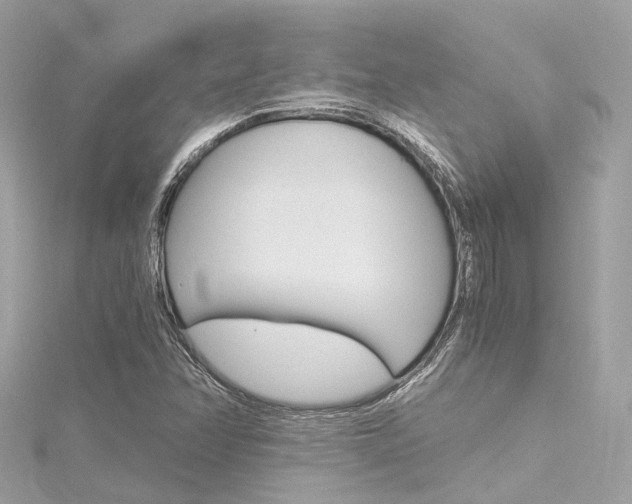X0000116331358200912010956