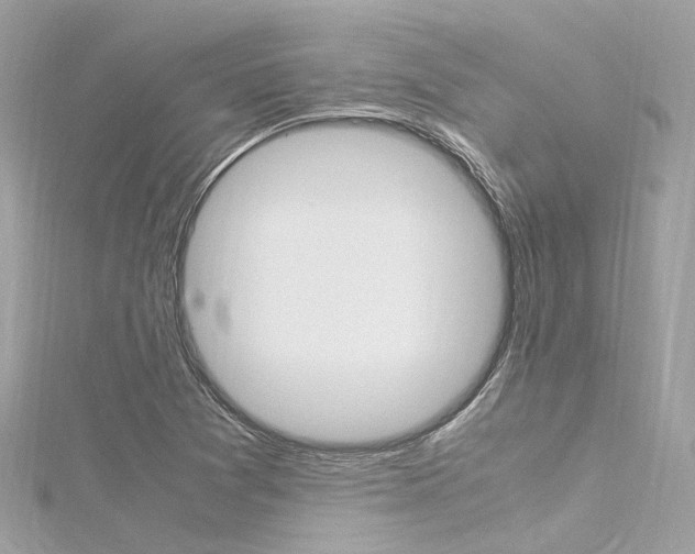 X0000116331361200912010956