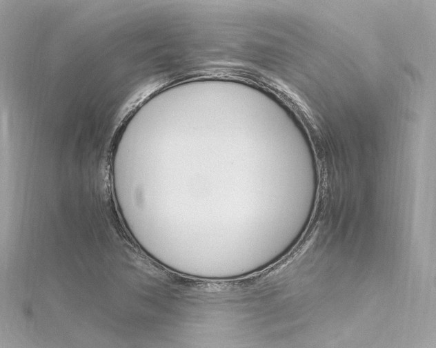 X0000116331362200912010956