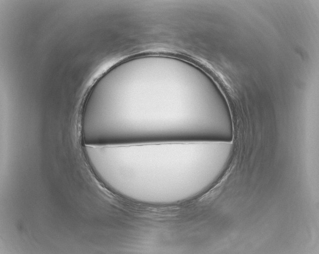 X0000116331367200912010956