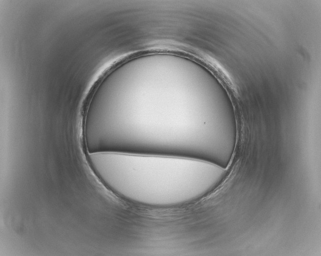 X0000116331376200912010956