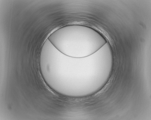 X0000116331377200912010956