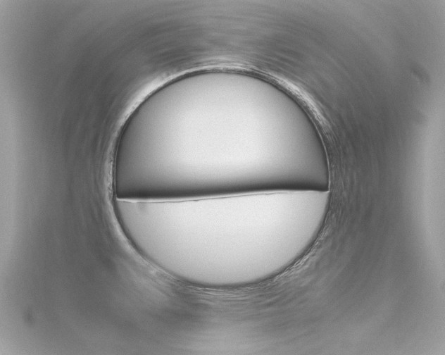 X0000116331383200912010956