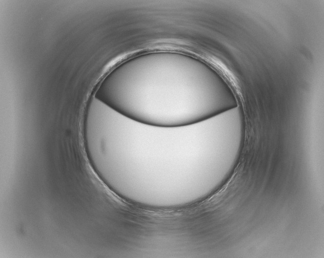 X0000116331384200912010956