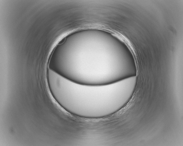 X0000116331389200912010956