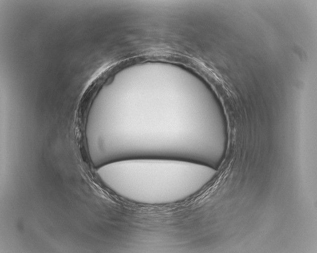 X0000116331400200912010955