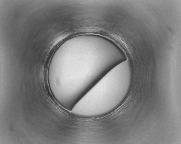 X0000116331404200912010955