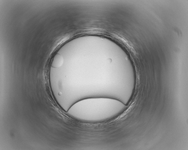 X0000116331405200912010955