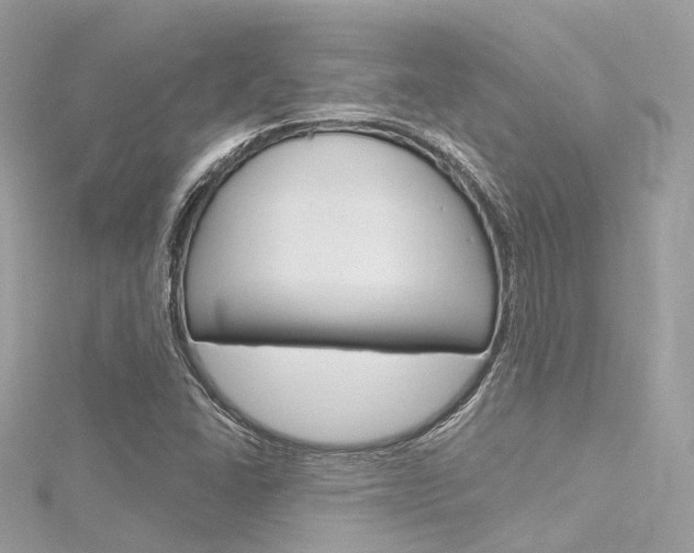 X0000116331406200912010955