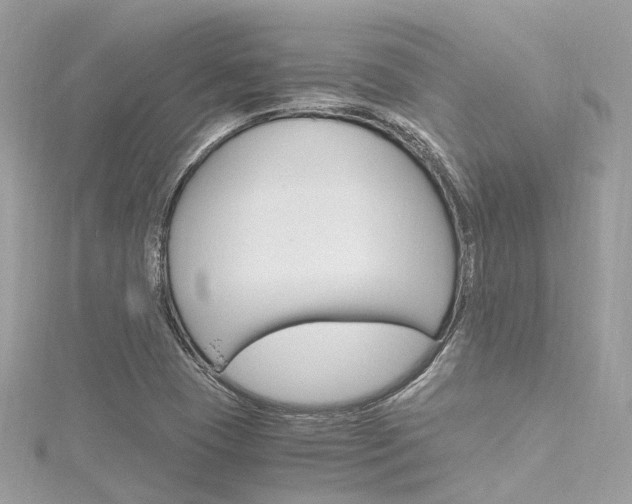X0000116331409200912010955