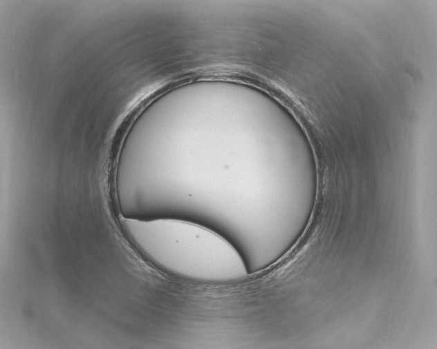 X0000116331410200912010955