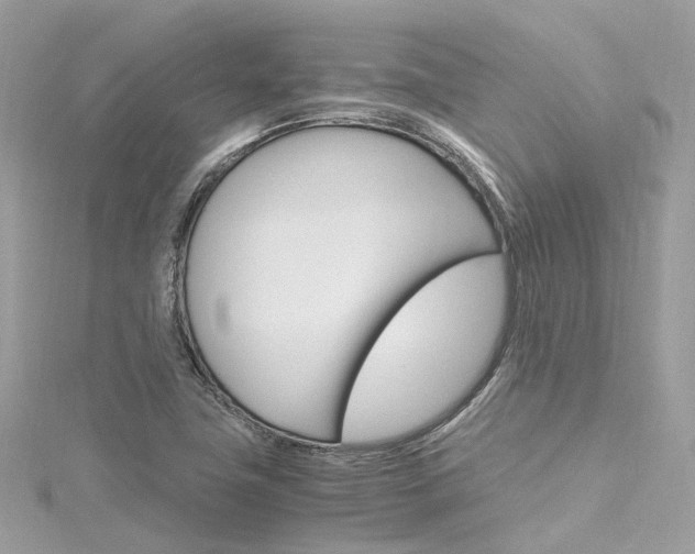 X0000116331411200912010955