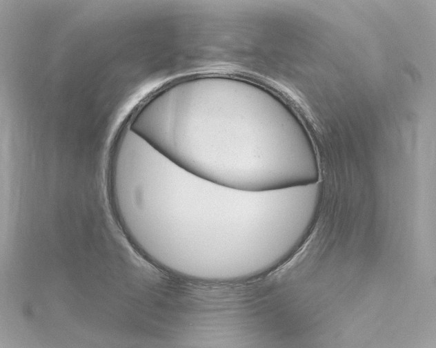 X0000116331414200912010955