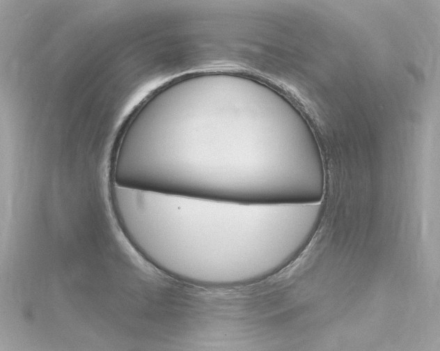 X0000116331422200912010956