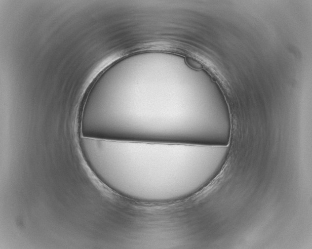 X0000116331426200912010956