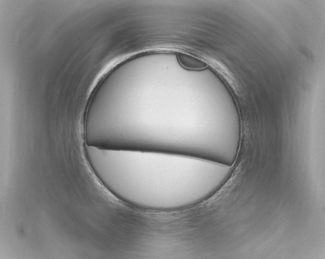 X0000116331428200912010956