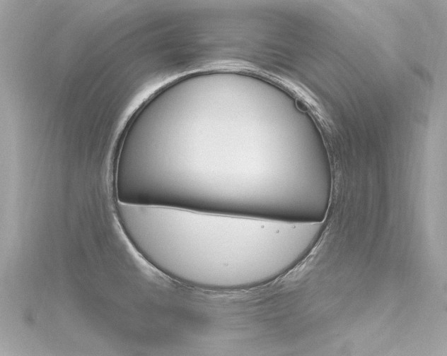 X0000116331430200912010956