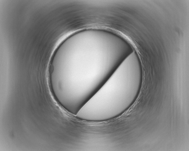 X0000116331440200912010956
