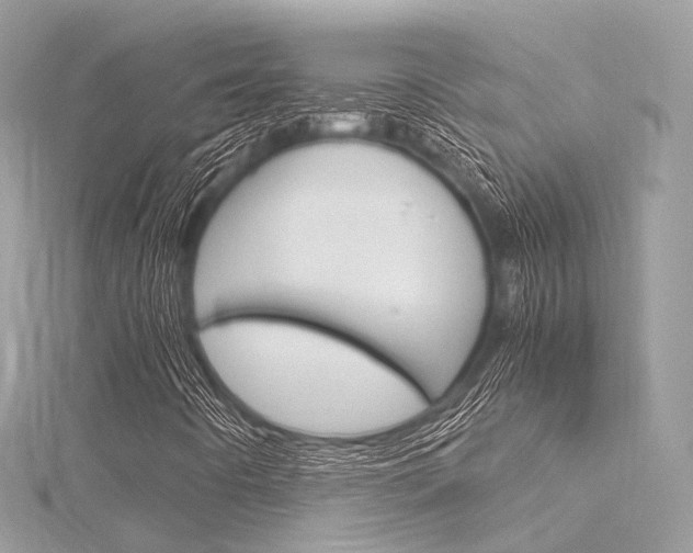 X0000116331442200912010955