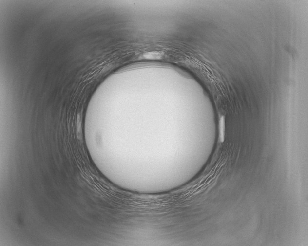 X0000116331443200912010955