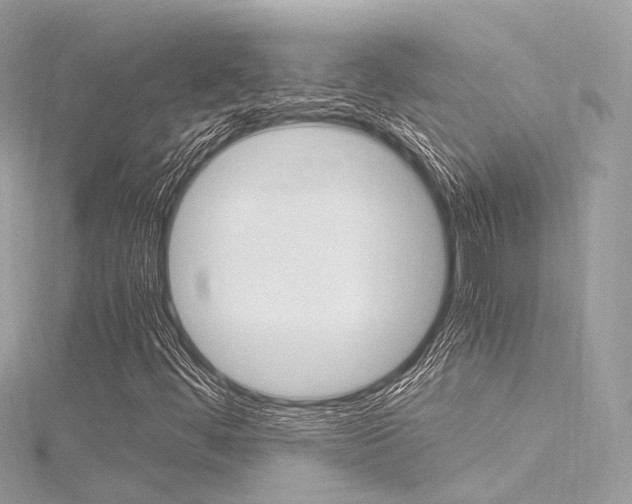 X0000116331444200912010955