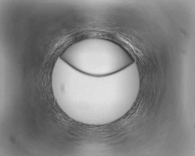 X0000116331447200912010955