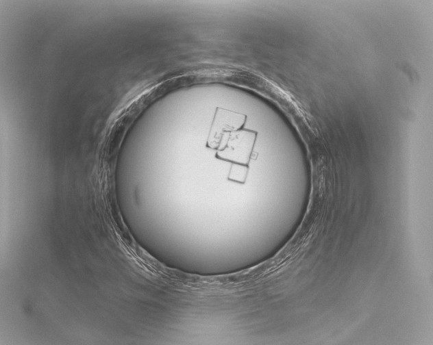 X0000116331448200912010955