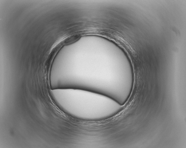 X0000116331450200912010955