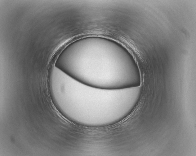 X0000116331452200912010955