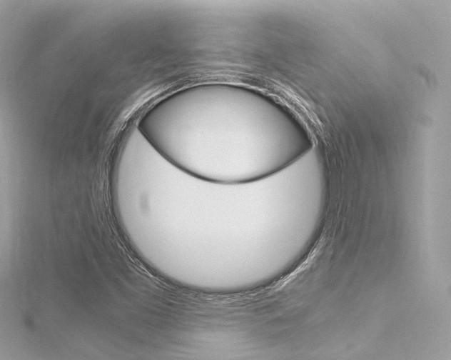 X0000116331453200912010955