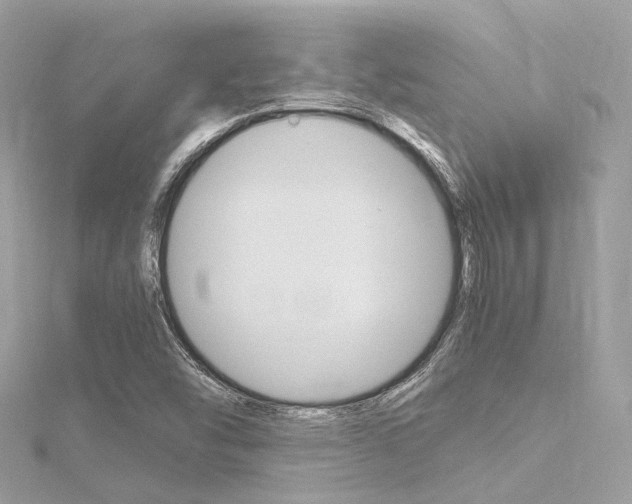 X0000116331454200912010955