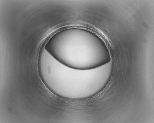 X0000116331456200912010955