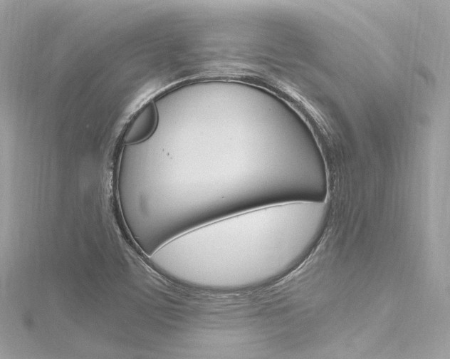 X0000116331459200912010955