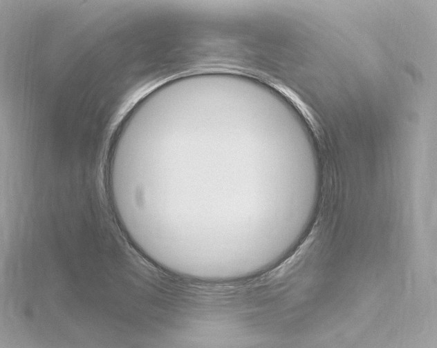 X0000116331461200912010955