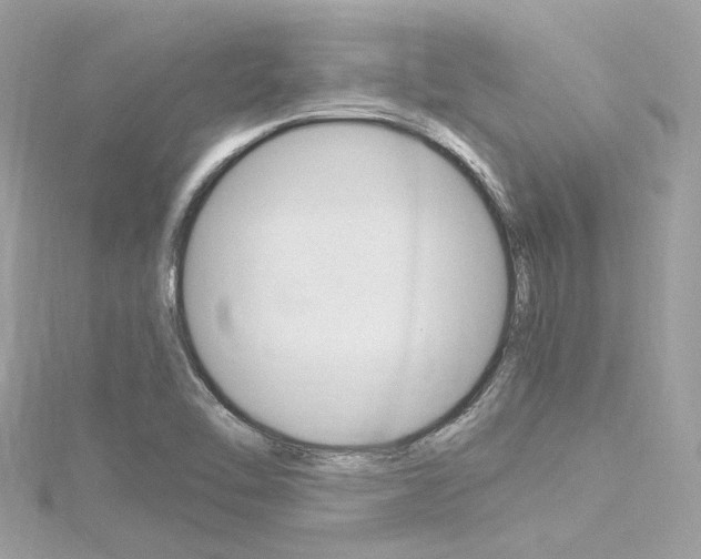 X0000116331462200912010955