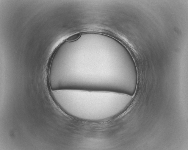X0000116331463200912010955