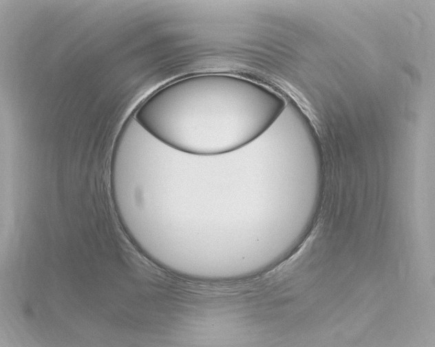 X0000116331465200912010955