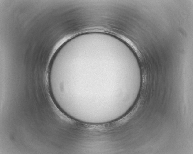 X0000116331466200912010955
