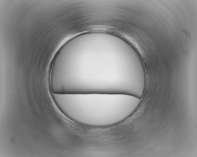 X0000116331475200912010955