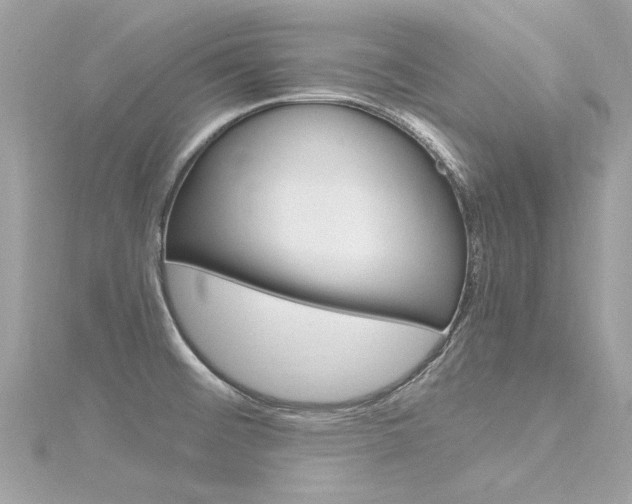 X0000116331476200912010955
