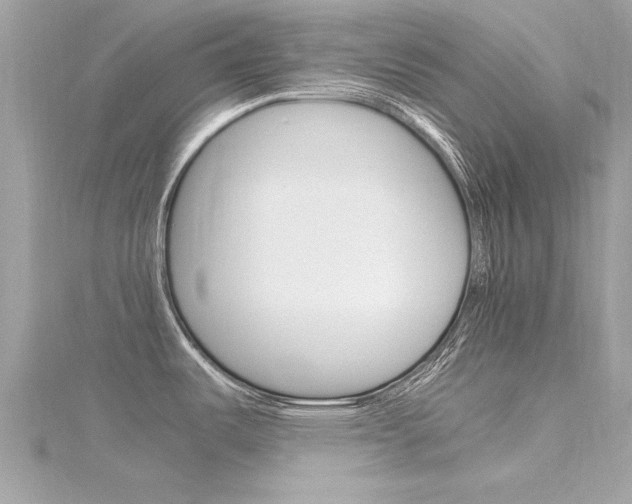 X0000116331487200912010955