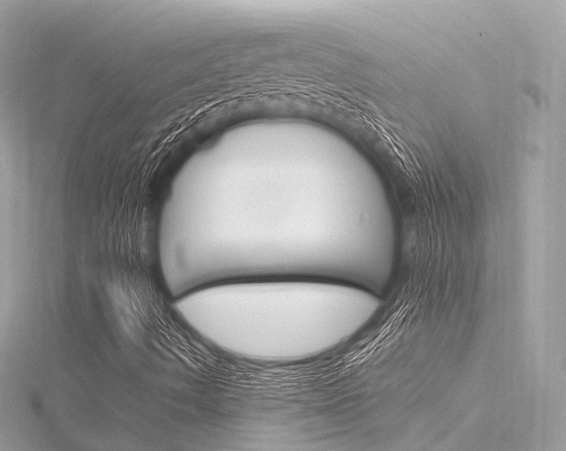 X0000116331490200912010954